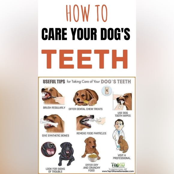 $1 DOG PIN/BROOCH. ENAMEL/METAL. NEW. $1 WITH ANY $10 ORDER OR MORE - Picture 9 of 16